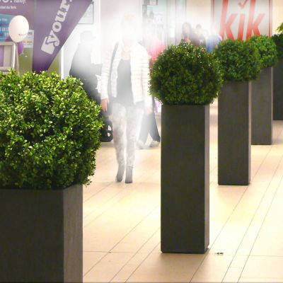 Kunstpflanzen ShoppingCenter Citycenter Gladbeck Buchsbaum
