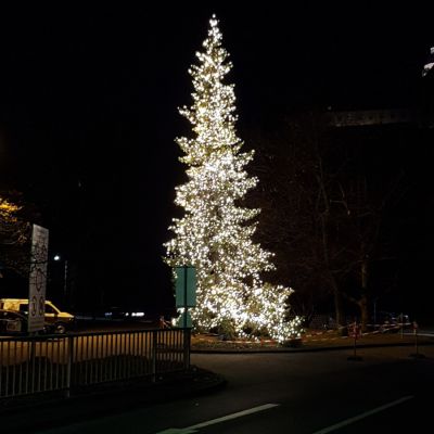 Weihnachtsbaumbeleuchtung Siegwerk